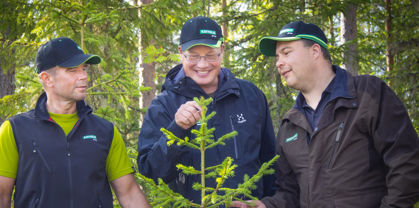 Keiteleen hankintaesimiehet tutkivat havumetsän kasvua.