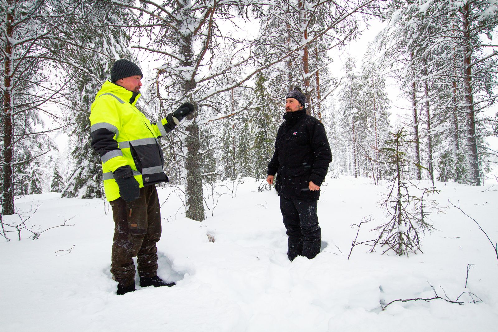Pohjoisen puunhankinta-alueella vaikuttava metsäasiantuntija Niko Suopajärvi ja metsänomistaja Mikko Suopanki