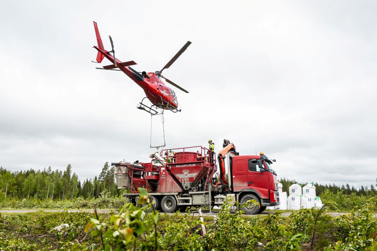 Metsänlannoitus on erinomainen tapa kasvattaa metsän tuottoa